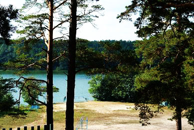 Озеро Кусторка из леса
